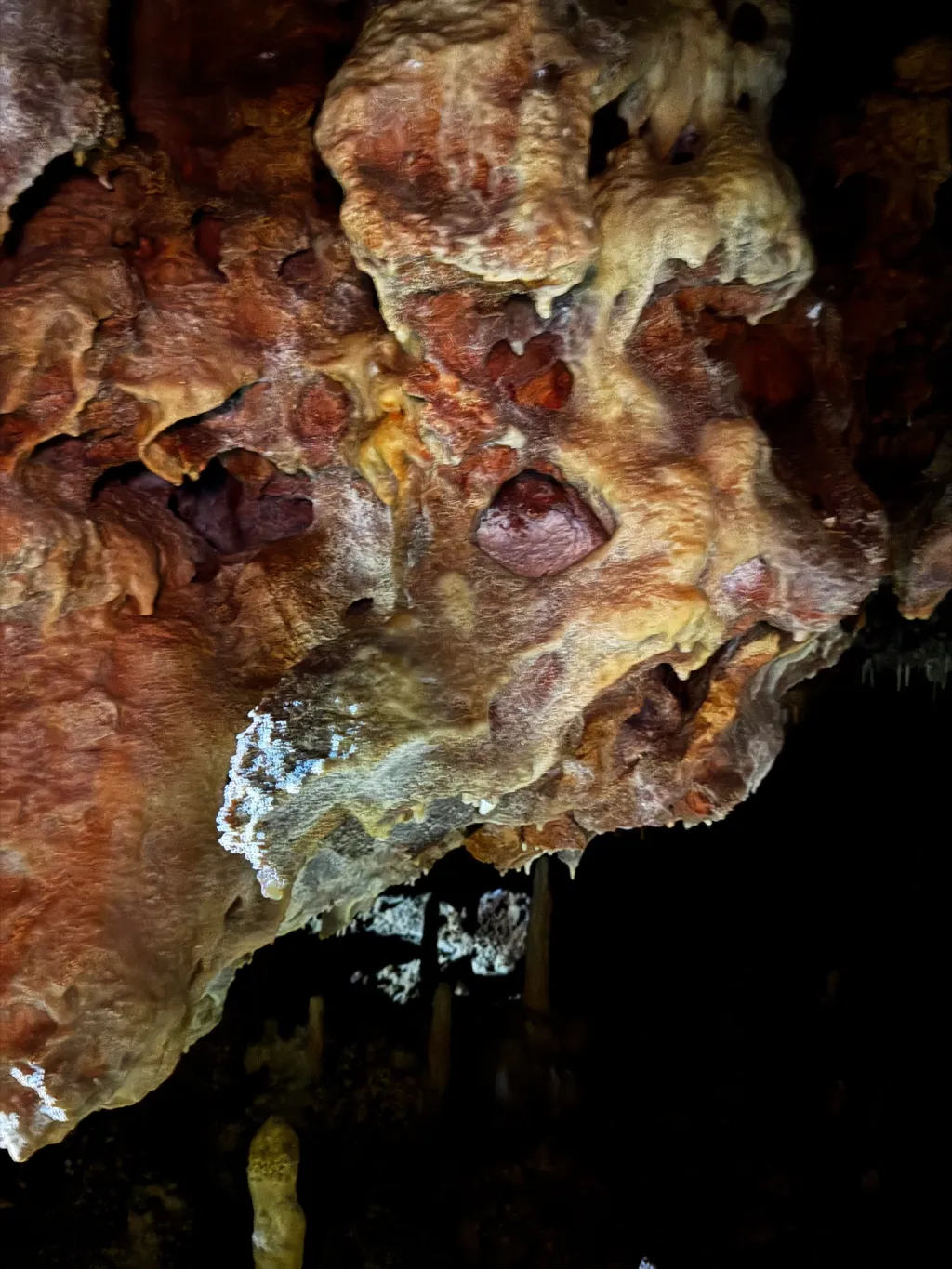 Concrétion en forme de visage dans la Grotte Forestière Ardèche